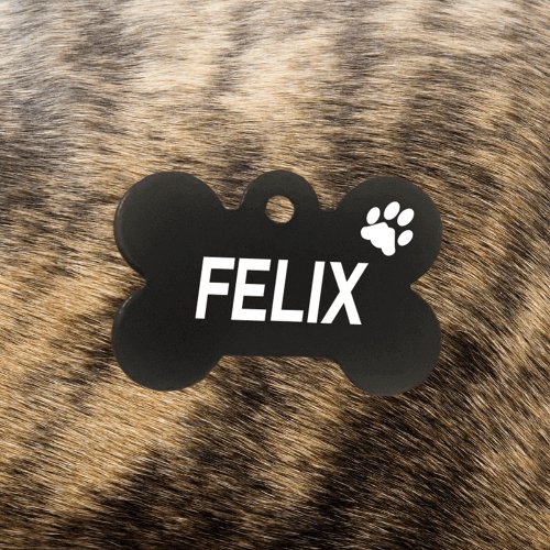 Black Bone Light Pawzee Pet Tags Engraved - Pet ID Tags