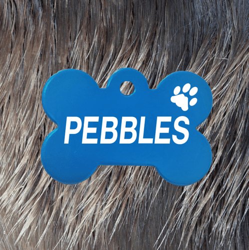Light Blue Bone Pawzee Pet Tags pawzee Pet ID Tags