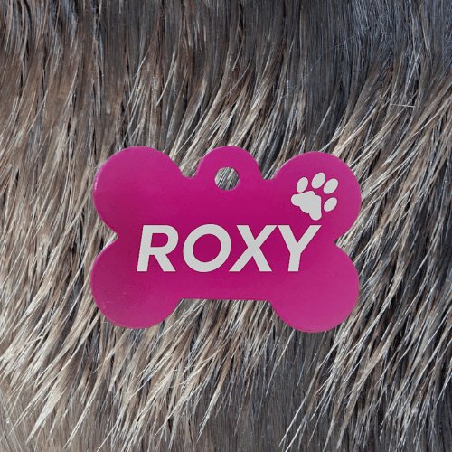 Pink Bone Pawzee Pet Tags pawzee Pet ID Tags