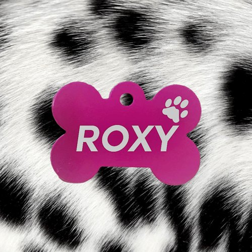 Pink Bone Pawzee Pet Tags pawzee Pet ID Tags