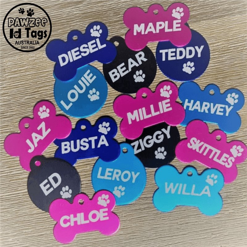 Pink Round Pawzee Pet Tags pawzee Pet ID Tags