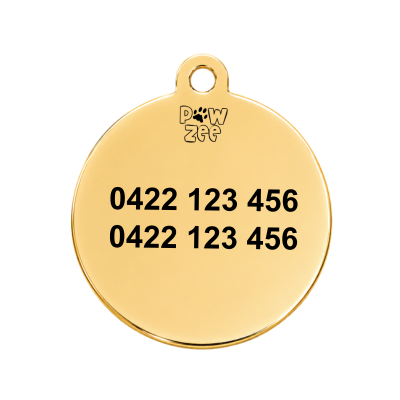 Gold Stainless Steel Round Pet ID Tag