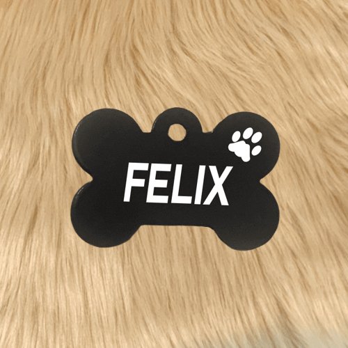 Black Bone Light Pawzee Pet Tags Engraved - Pet ID Tags