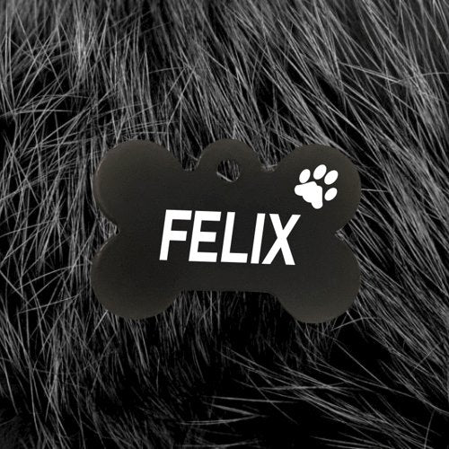 Black Bone Light Pawzee Pet Tags Engraved - Pet ID Tags