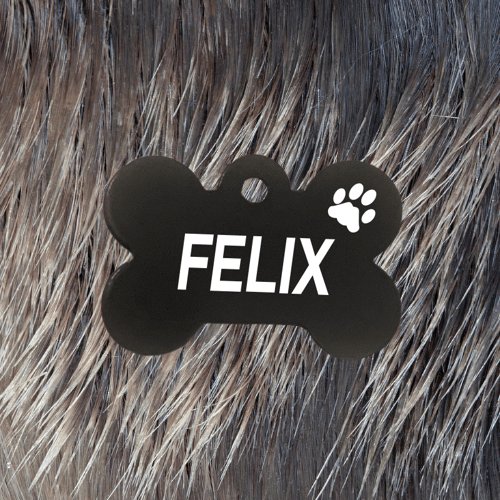 Black Bone Light Pawzee Pet Tags Engraved - Pet ID Tags