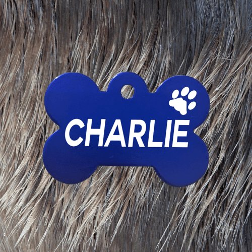 Engraved Dark Blue Bone Pawzee Light Pet Tag - Pet ID Tags